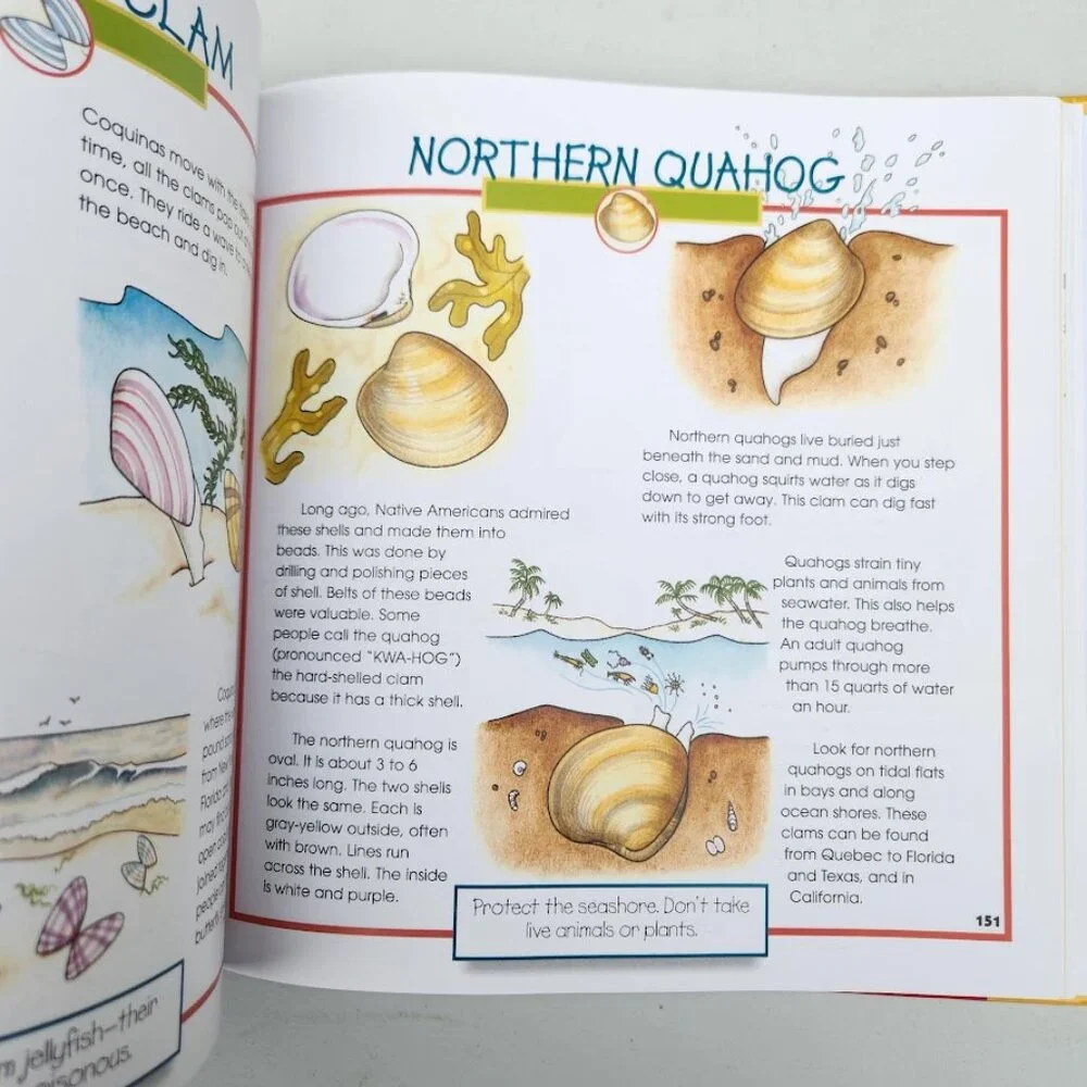 More Fun With Nature Take Along Guides Hardcover Book Activity Journal Craft